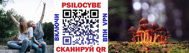 Галлюциногенные грибы MAGIC MUSHROOMS  Бутурлиновка 