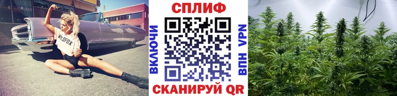 цена наркотик  Бутурлиновка  Шишки марихуана Amnesia 